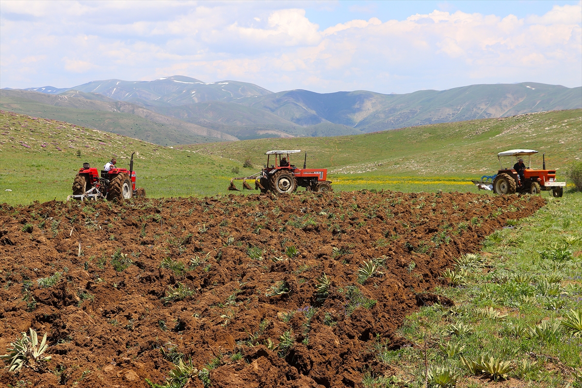 Bayburt'ta 35 yıllık atıl topraklar yeniden tohumla buluşturulacak |  Turcomoney