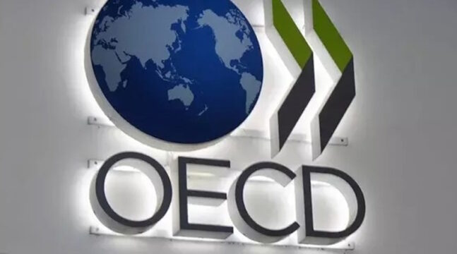 OECD Raporu: Kamuya güven duyulmuyor